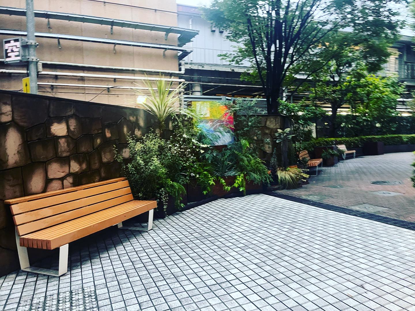 TOKYO BENCH PROJECT・視察レポート20230908