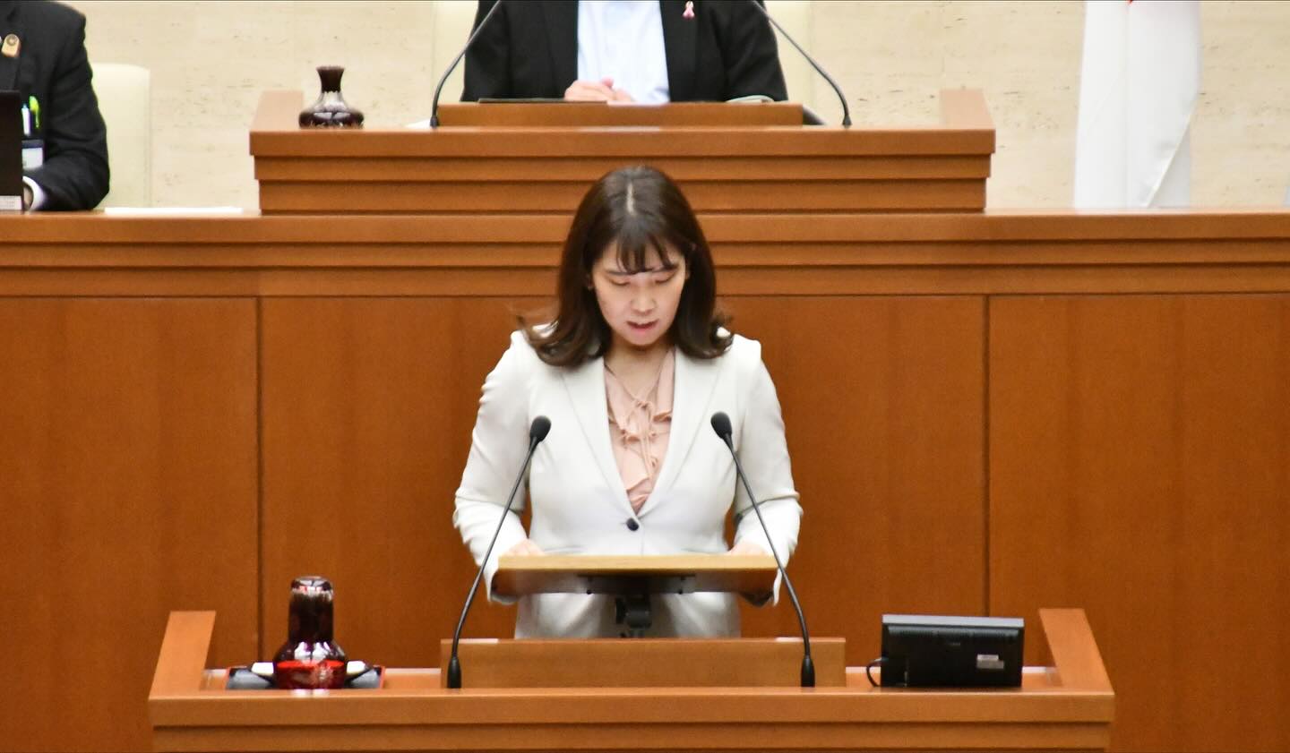 板橋区議会本会議 『高島平2・3丁目周辺地区、地区計画の対話型合同説明会を求める陳情』について
