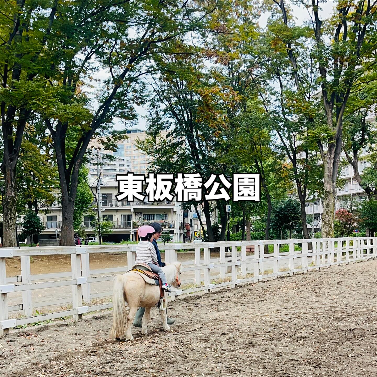 板橋こども動物園でポニーやモルモットと触れ合う。