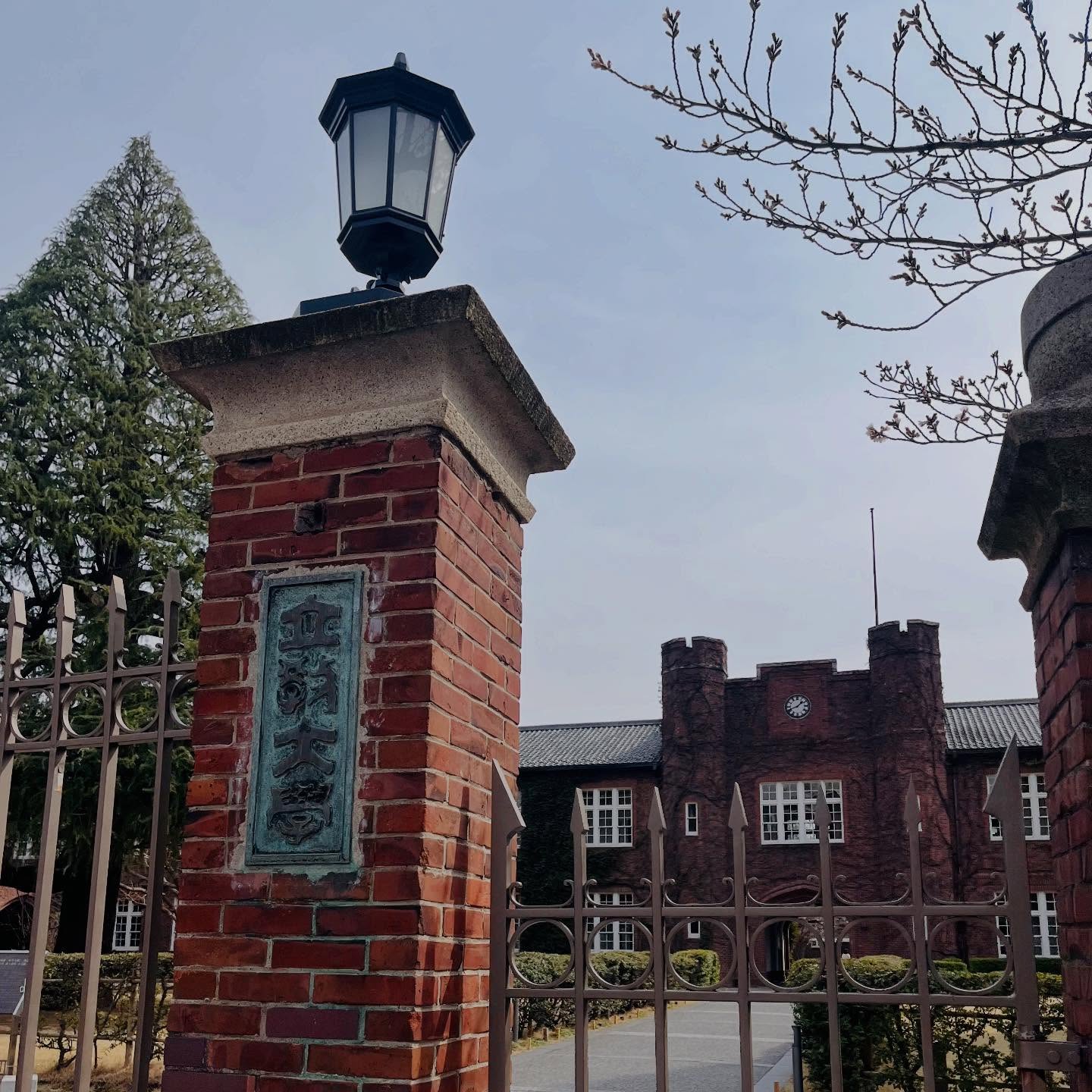 立教大学に、亀井善太郎先生の最終講義に来ています！